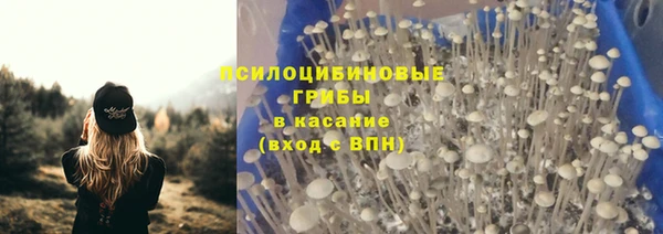 гидра Алзамай
