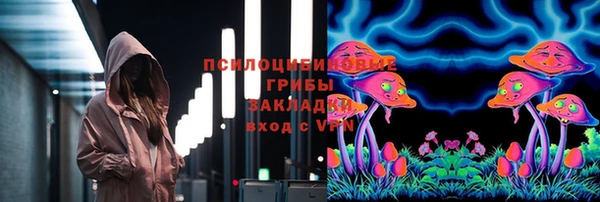 прущая мука Нея