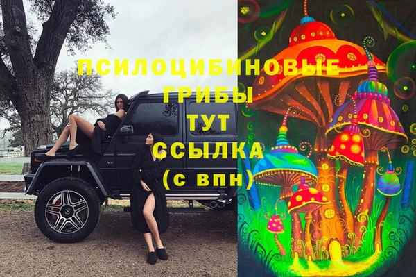 стафф Алексеевка