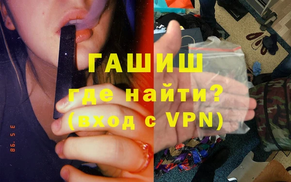 стаф Алексин