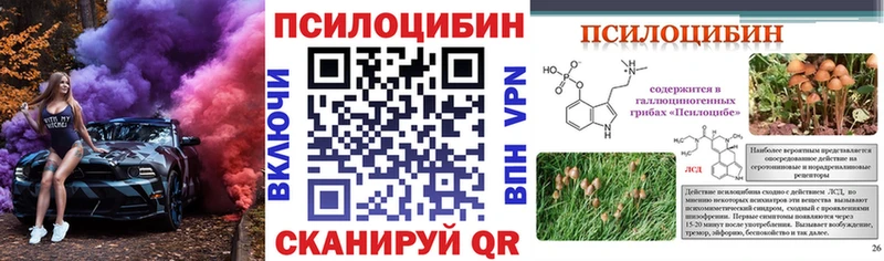 Псилоцибиновые грибы Psilocybe  мориарти Telegram  Нытва 